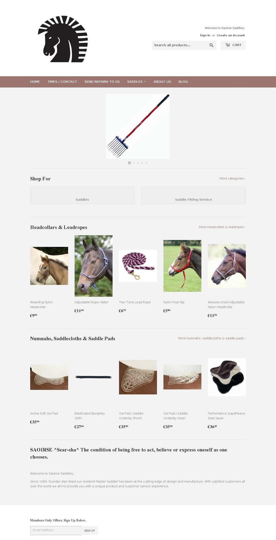 fitsaddle.com shopify website screenshot