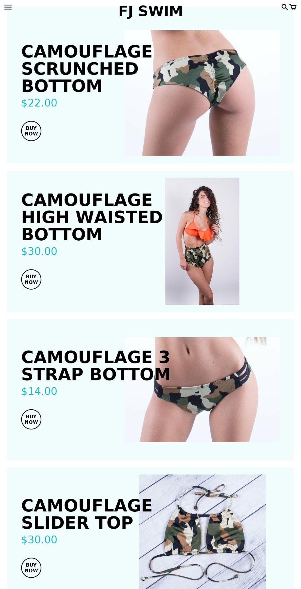 fjswim.com shopify website screenshot