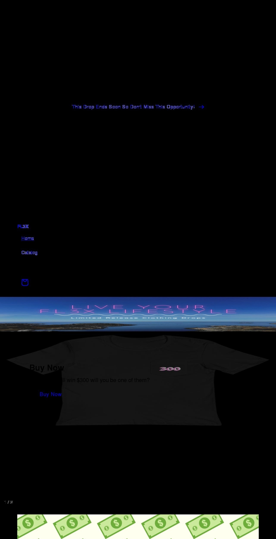 fl3xlifestyle.com shopify website screenshot