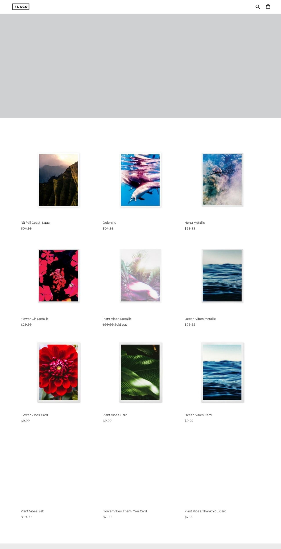 flacocreative.com shopify website screenshot