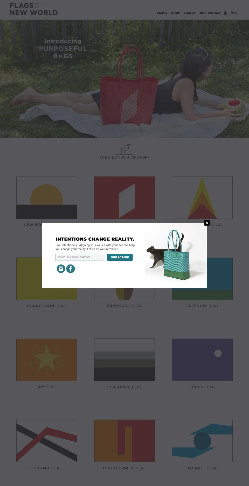 flagsforanewworld.com shopify website screenshot