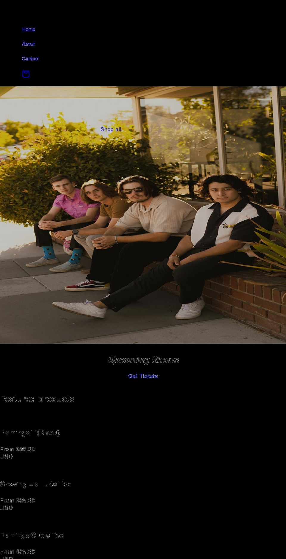 flamingosinthetreeband.com shopify website screenshot