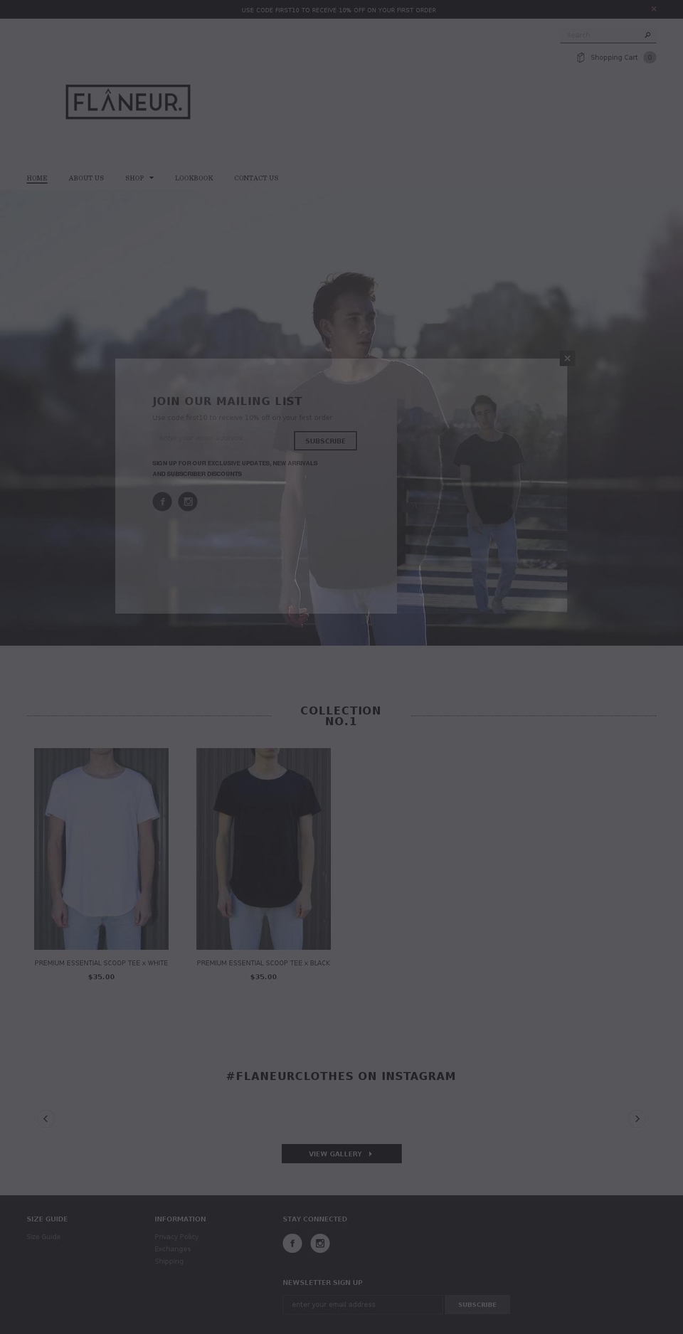 flaneur.ca shopify website screenshot