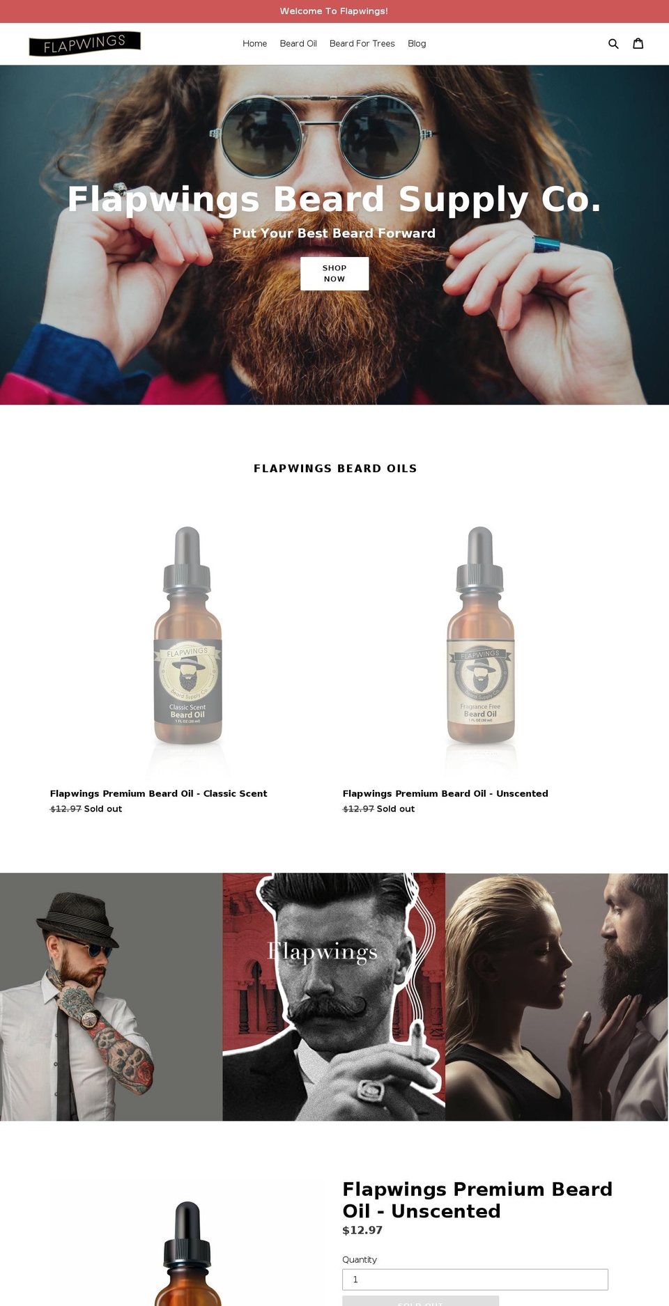 flapwingsbeard.com shopify website screenshot