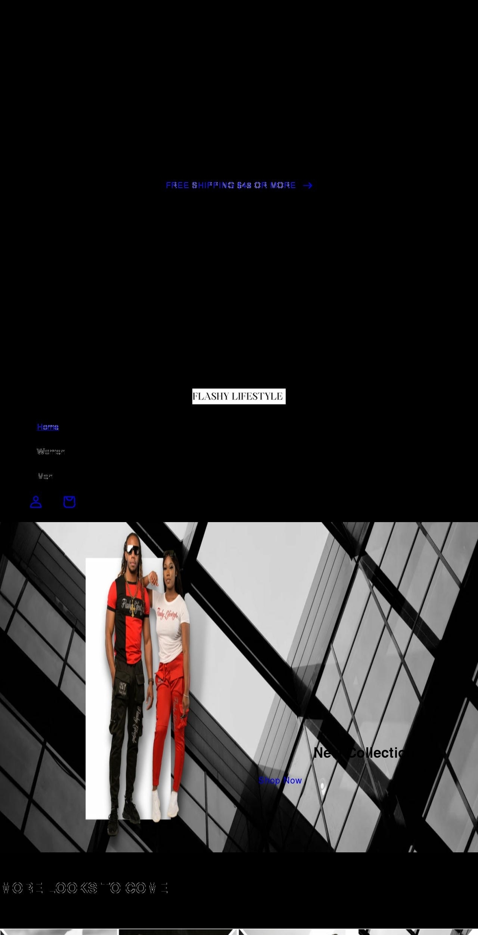 flashylifestyle.net shopify website screenshot