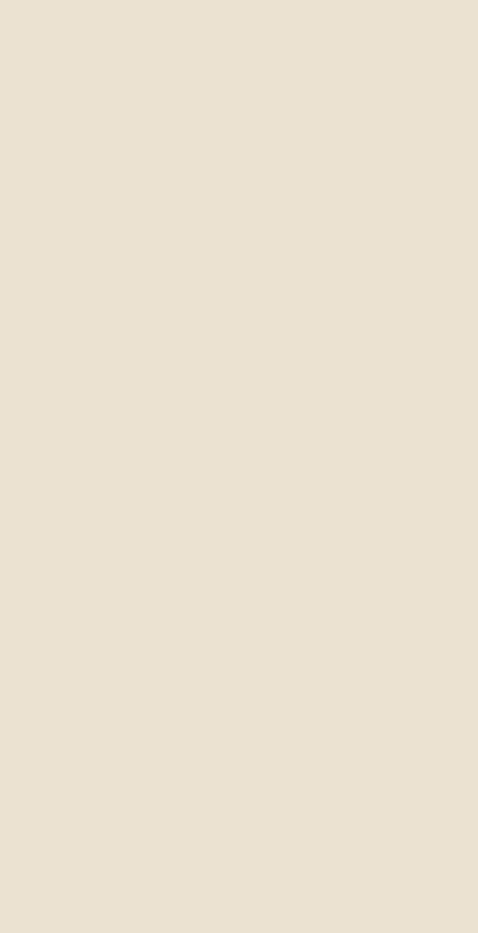 flaurentonlinestore.net shopify website screenshot