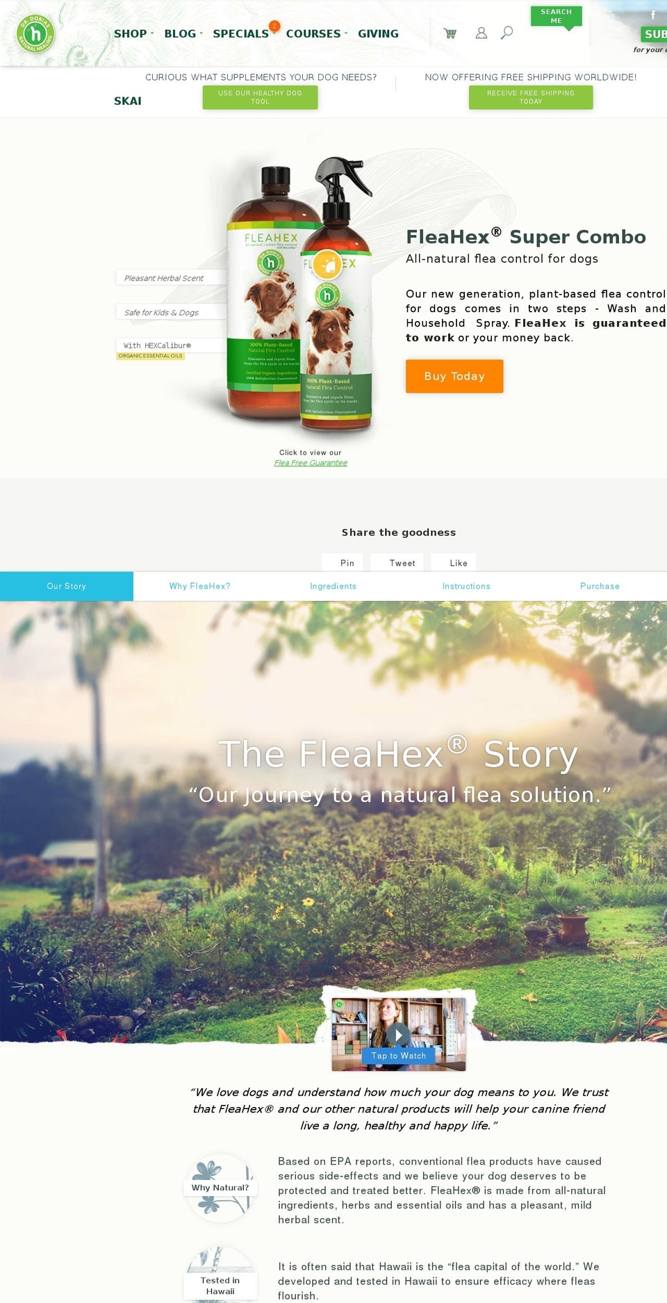 Fancy Product + Article Fixes - 8-6 Shopify theme site example fleahex.com