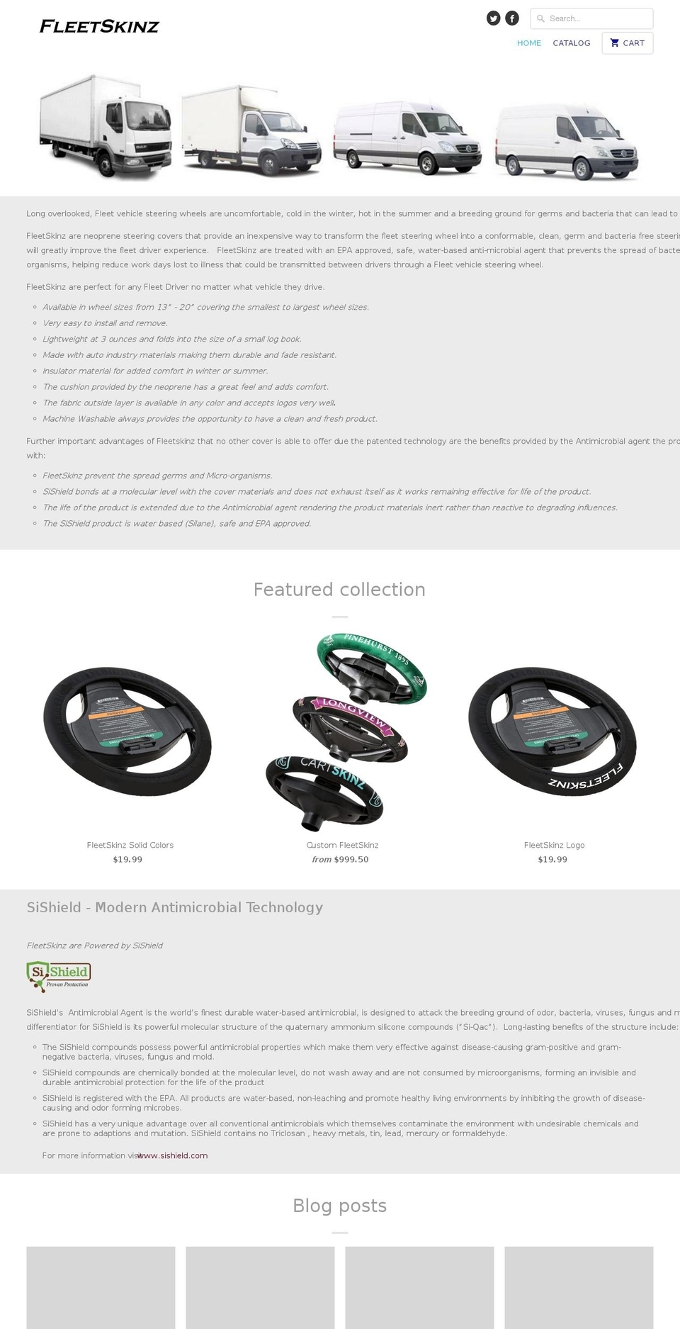 fleetskinz.com shopify website screenshot