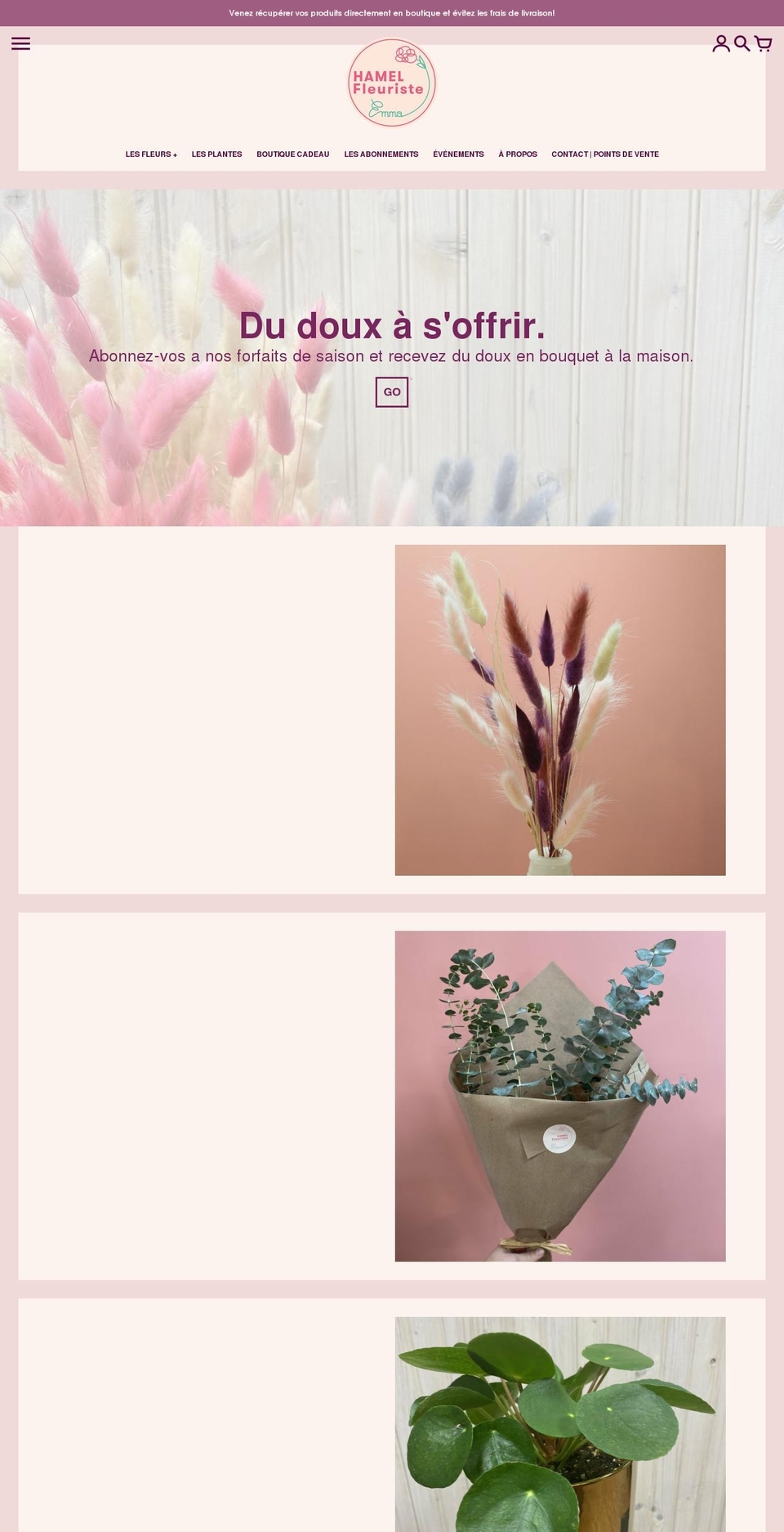 fleuristehamel.com shopify website screenshot