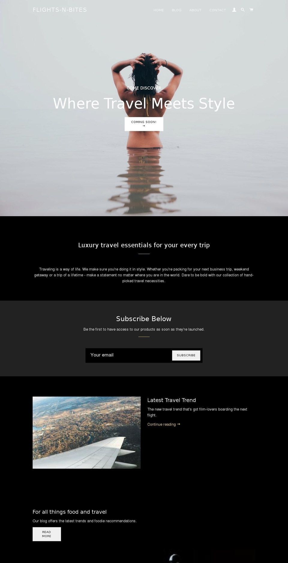 flights-n-bites.com — Shopify storefront screenshot