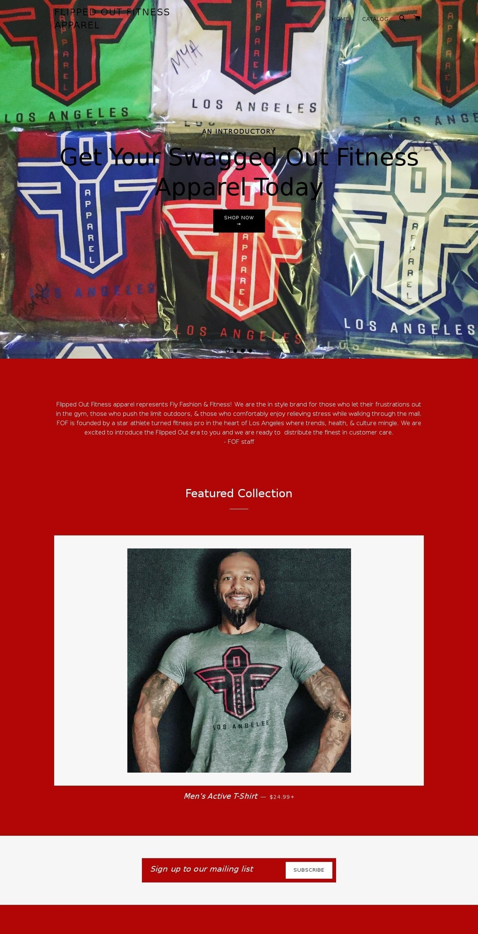 flippedoutfitness.com — Shopify storefront screenshot
