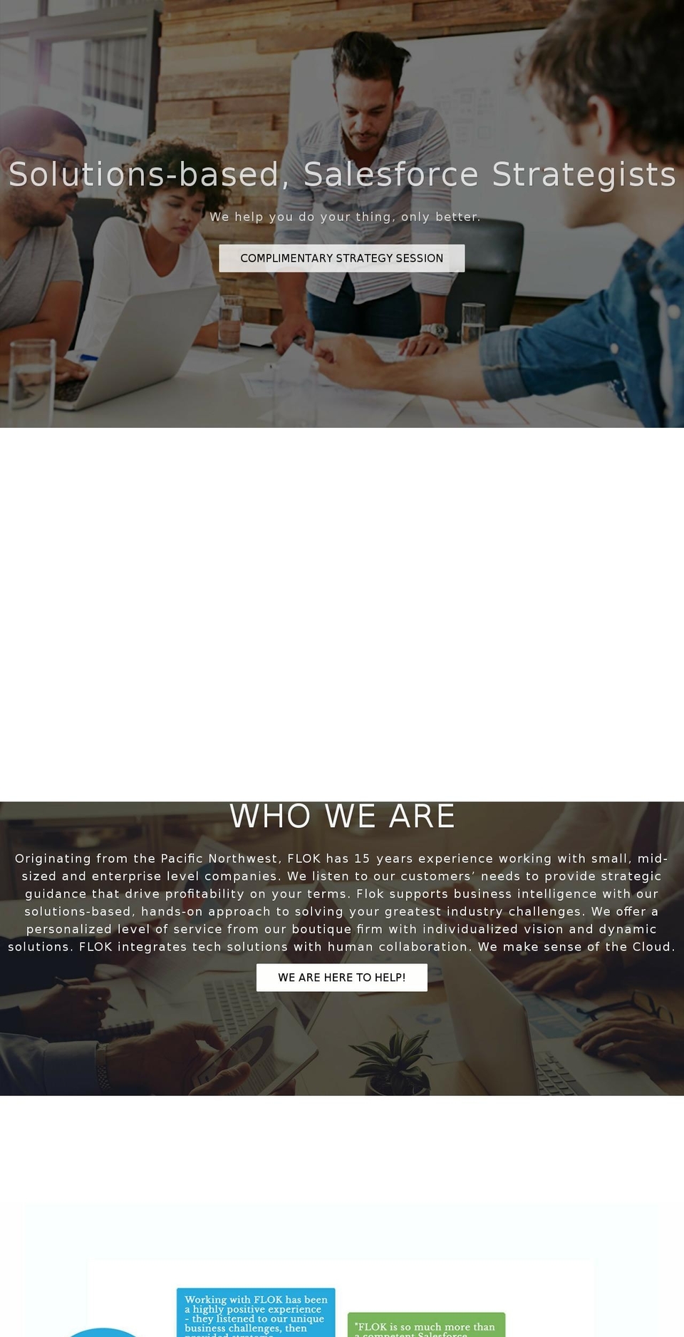 floksolutions.com shopify website screenshot