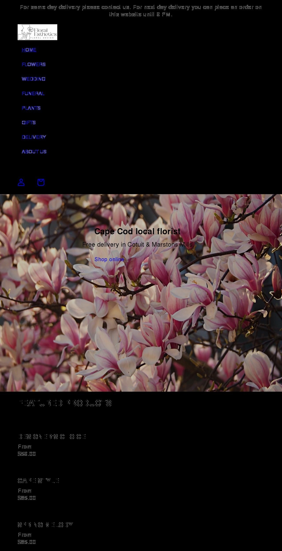 floral-esthetics.com shopify website screenshot