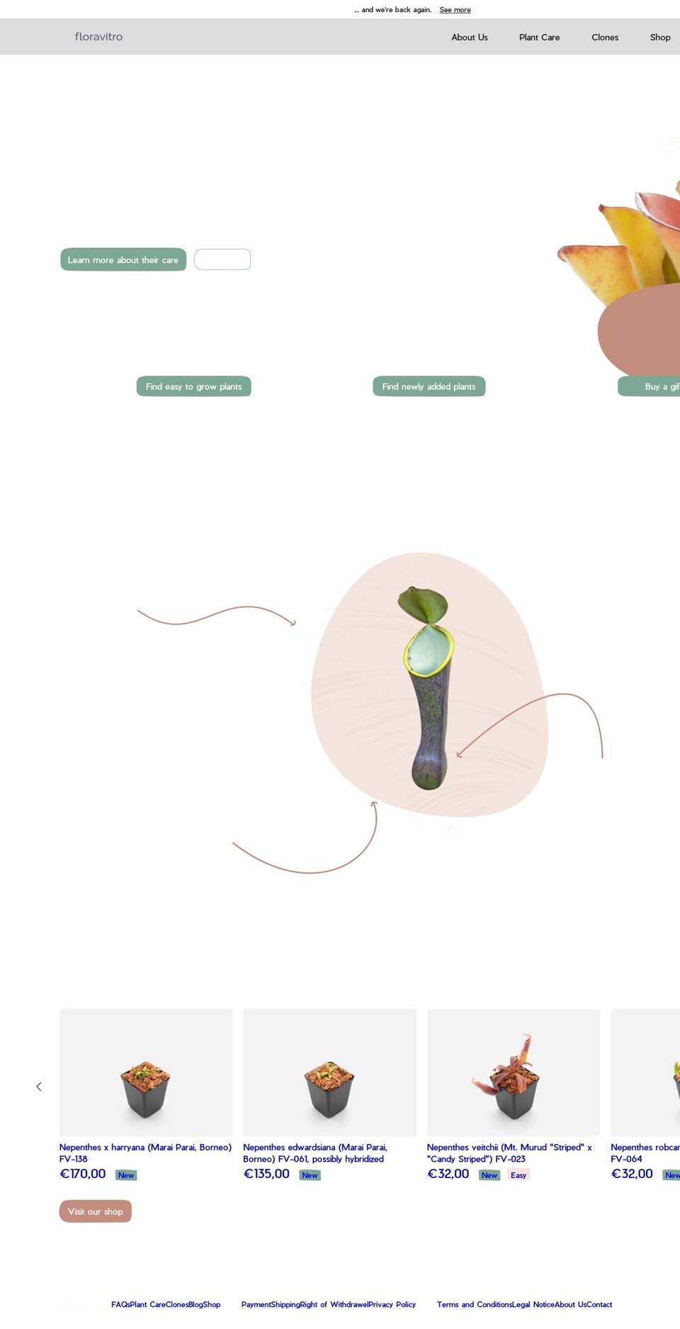 floravitro.com shopify website screenshot