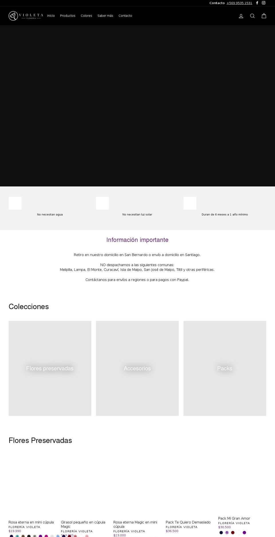 floreriavioleta.cl shopify website screenshot