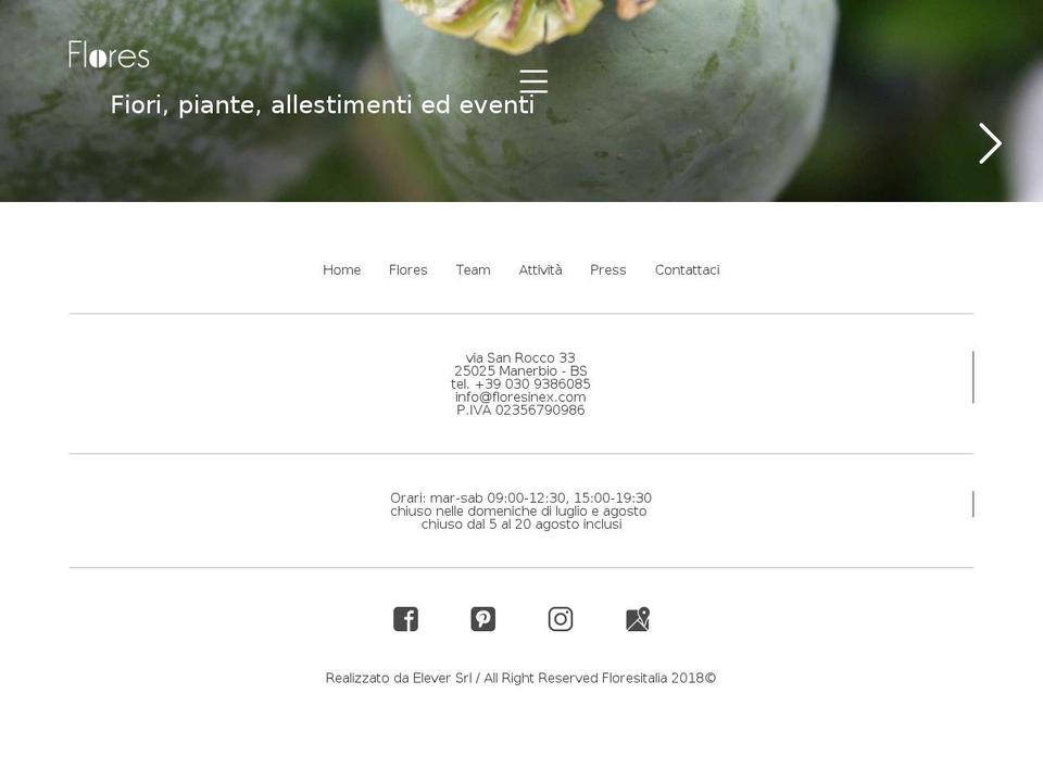 floresinex.com — Shopify storefront screenshot