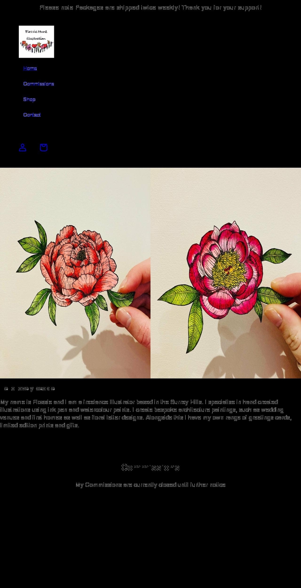 flossiehuntillustration.com shopify website screenshot