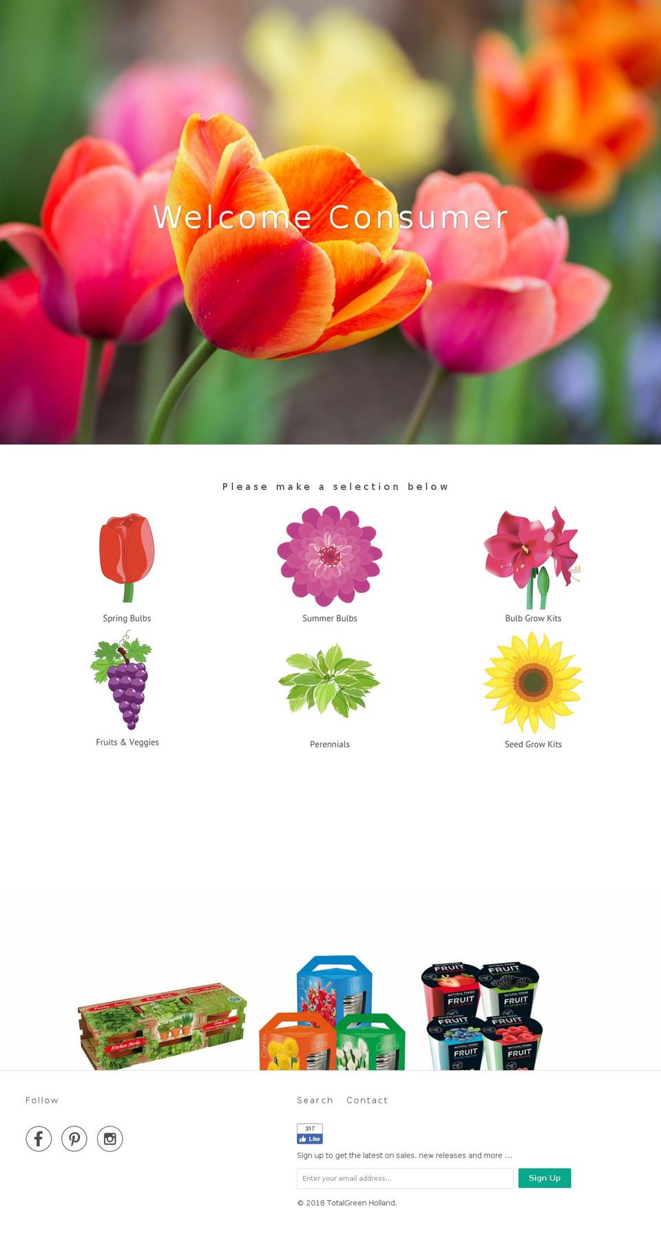 flowerbulbinfo.com — Shopify storefront screenshot