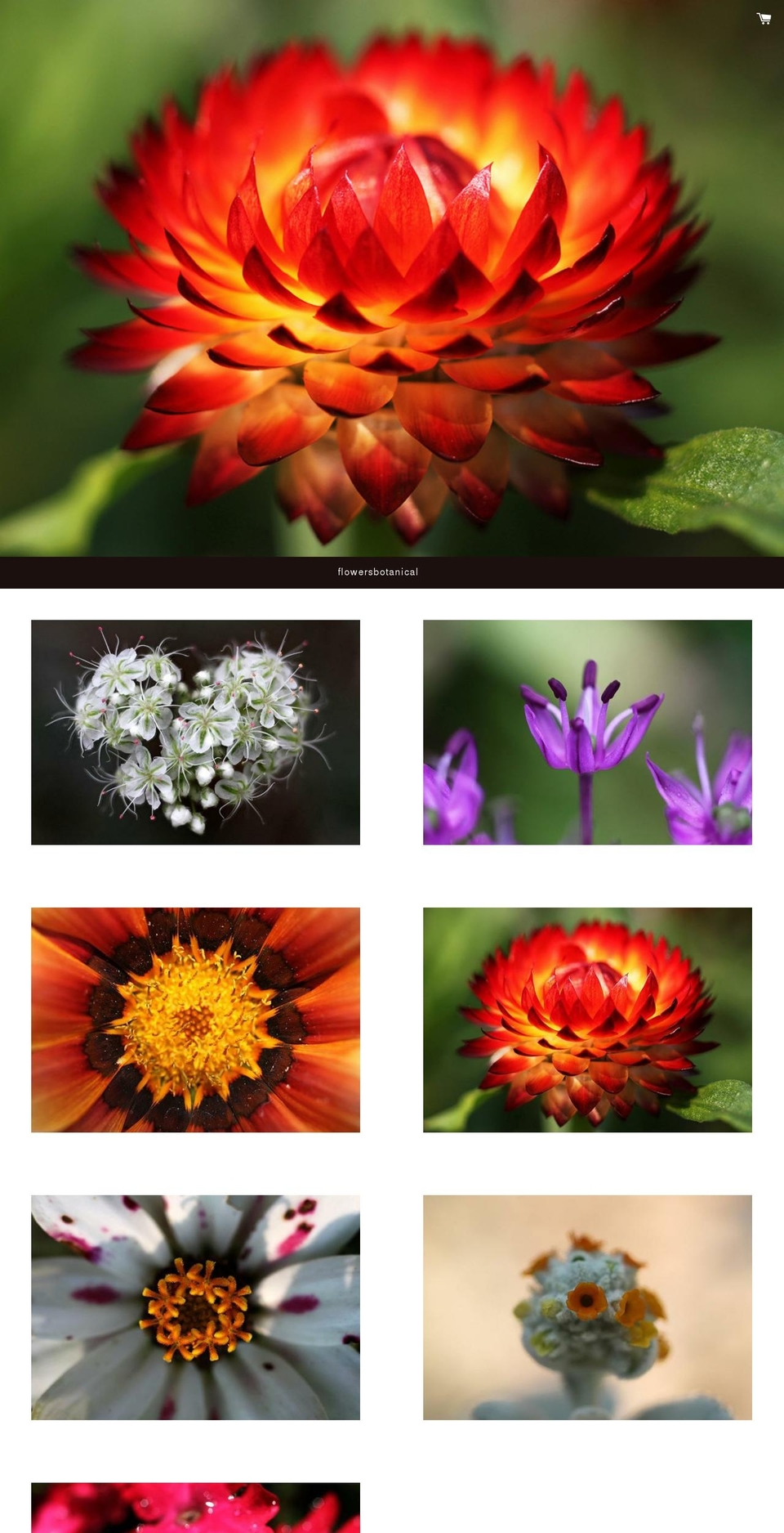flowersbotanical.com shopify website screenshot