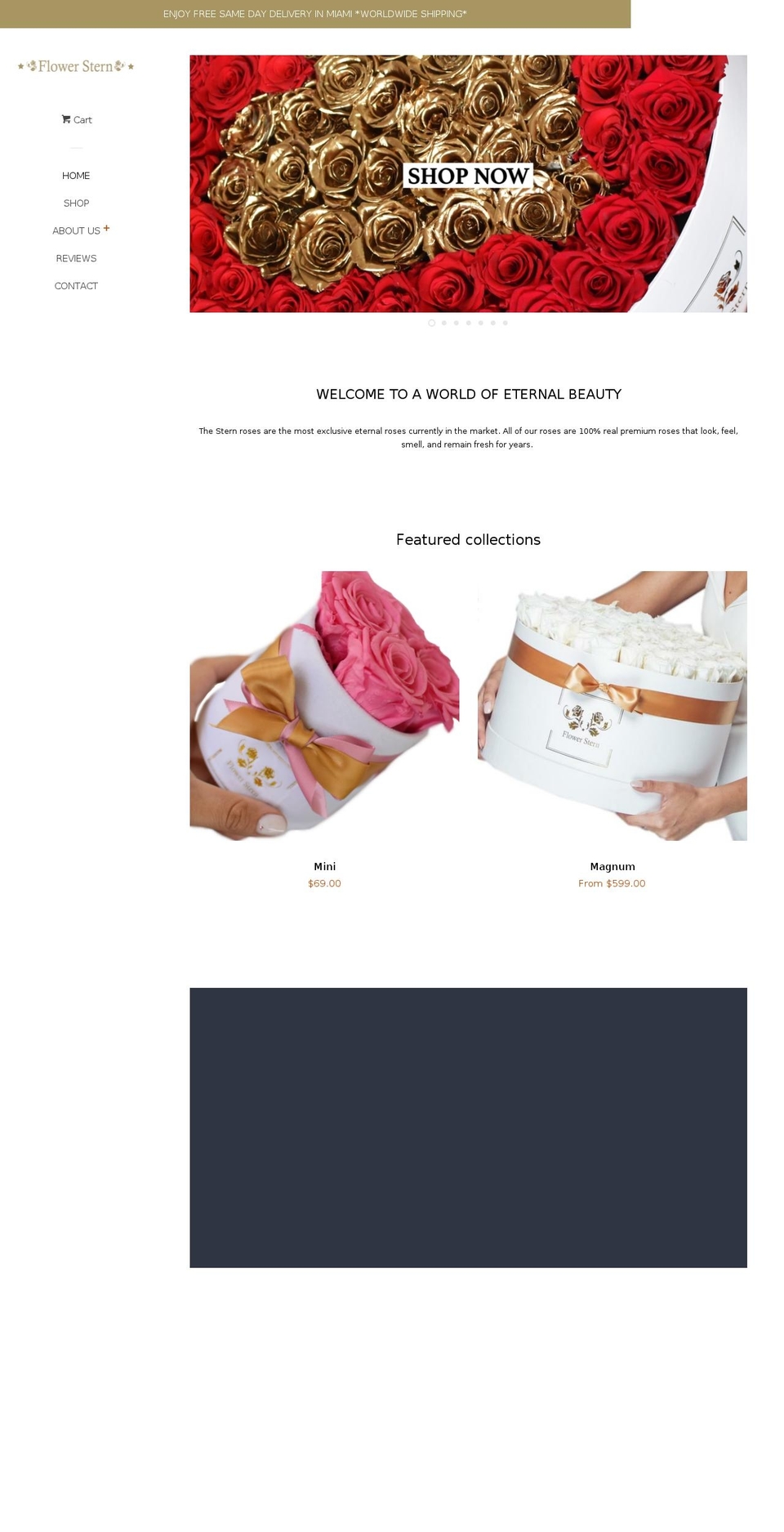 flowerstern.com shopify website screenshot