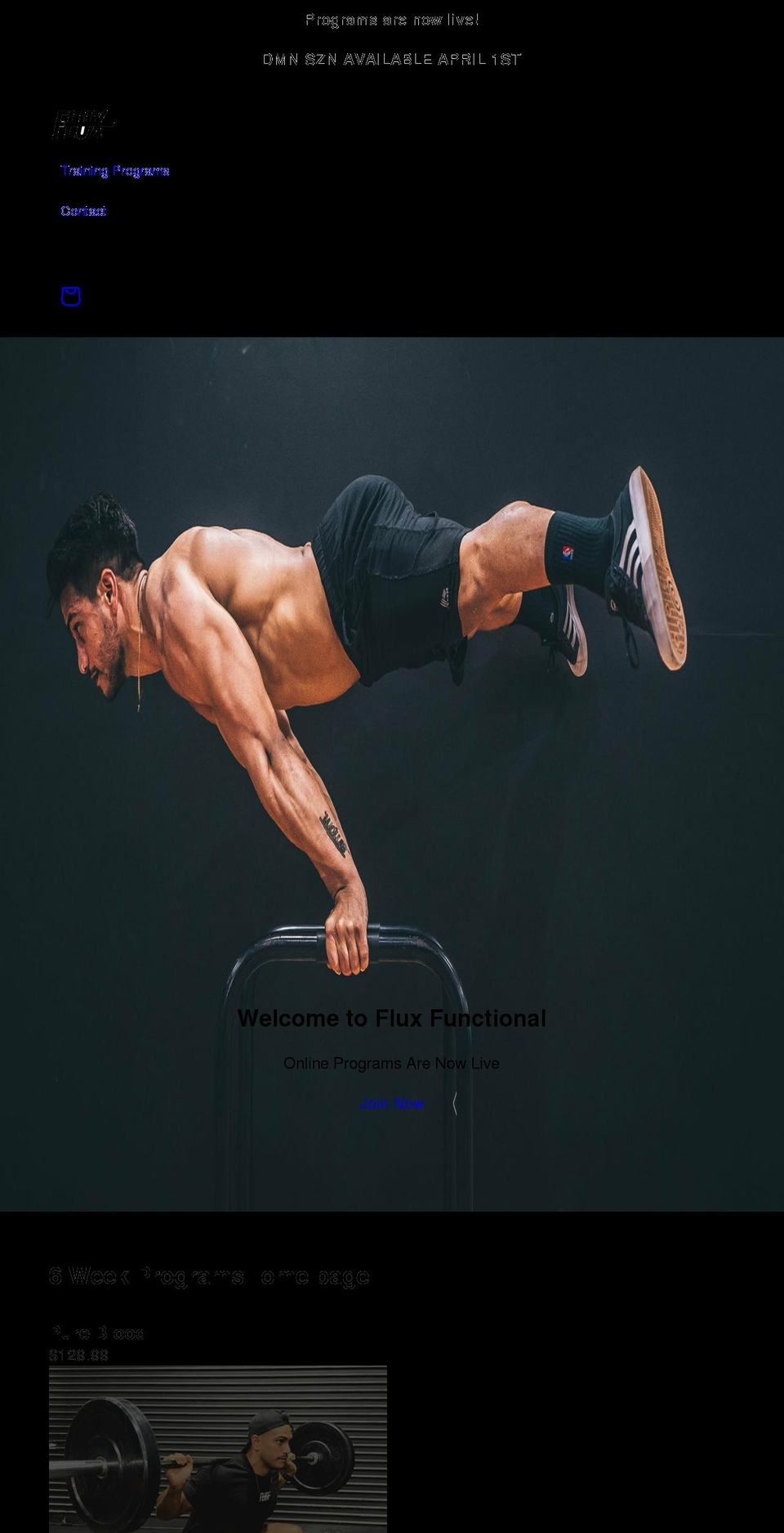 fluxfunctional.com shopify website screenshot