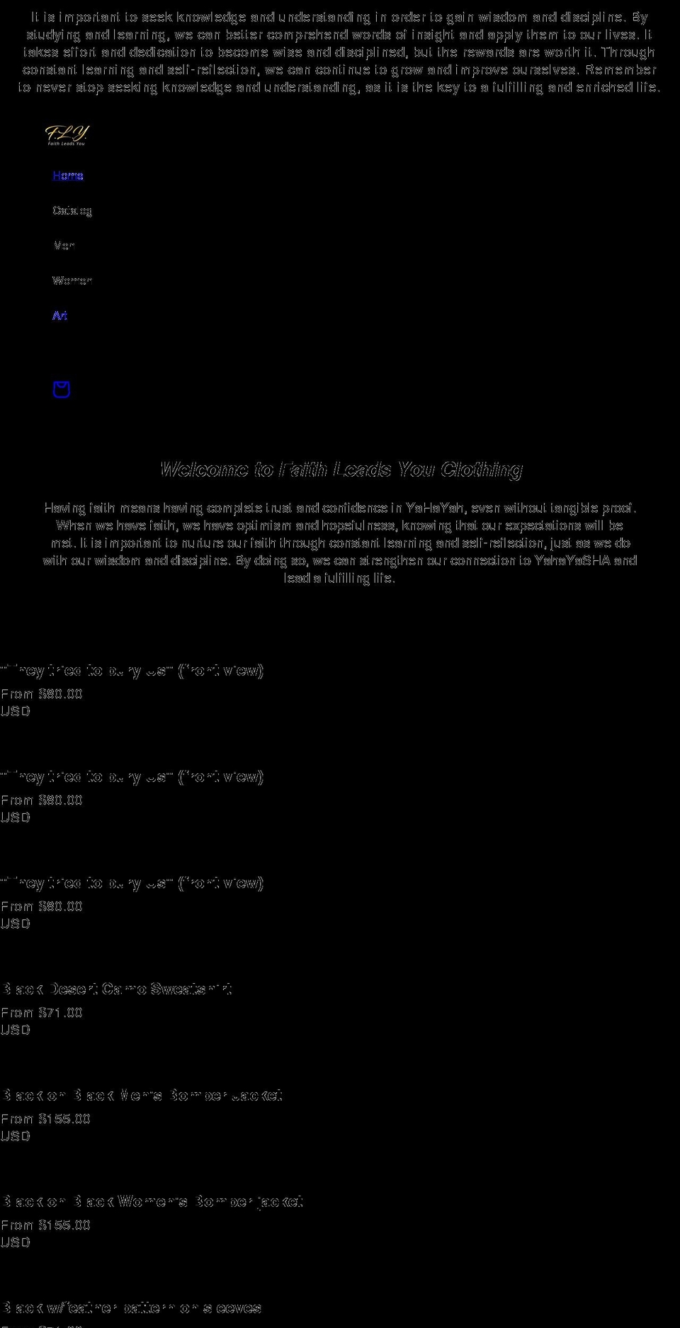 flyclothing09.com shopify website screenshot