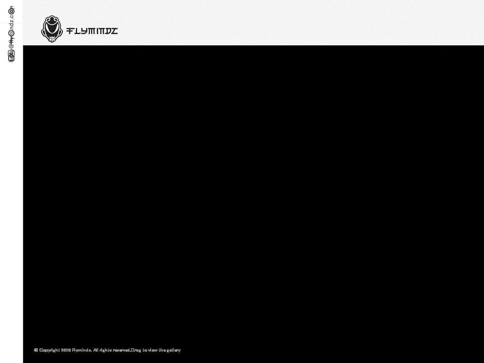 flymindz.com — Shopify storefront screenshot