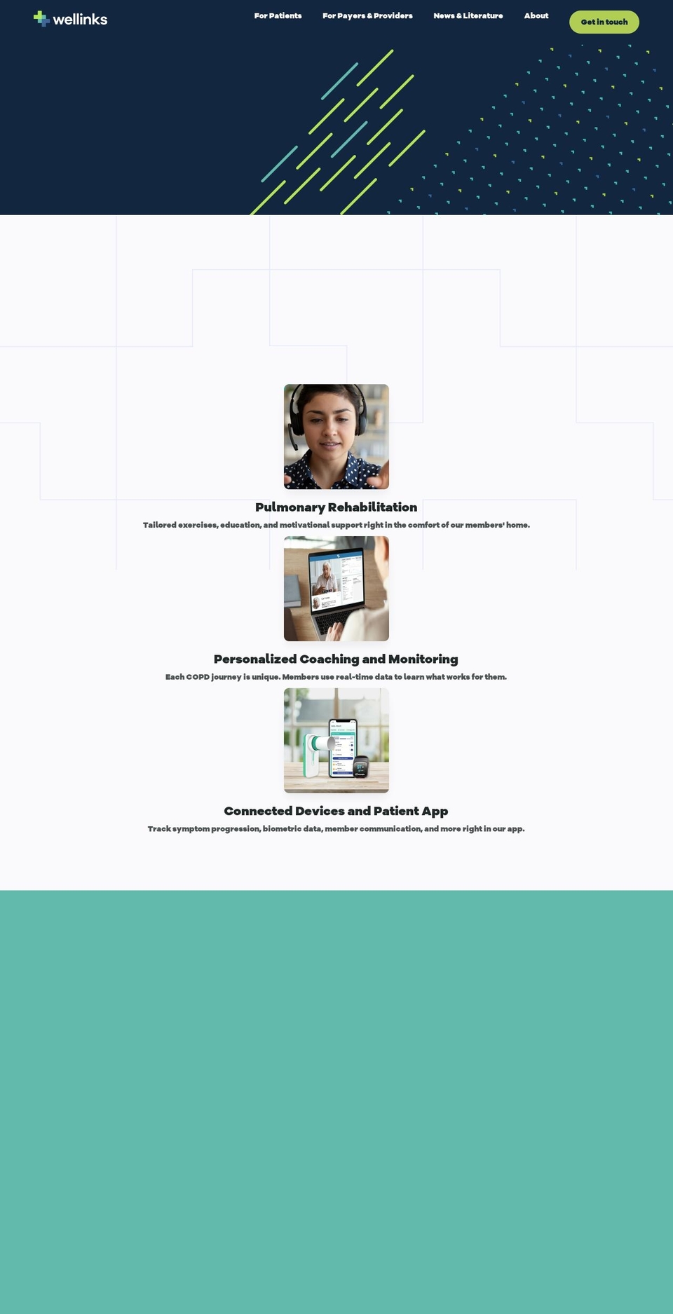 flypnebulizer.com — Shopify storefront screenshot
