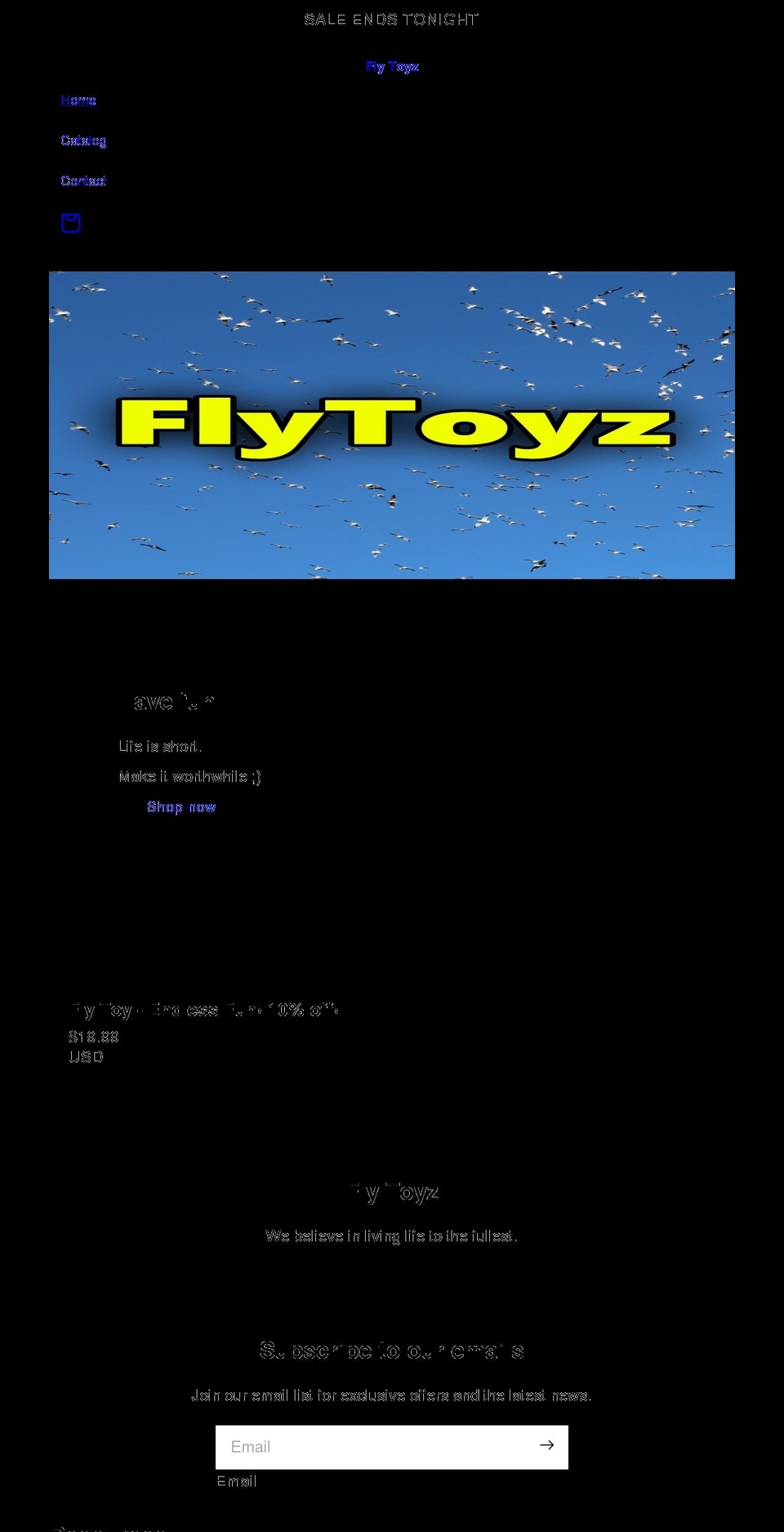 flytoyz.com shopify website screenshot