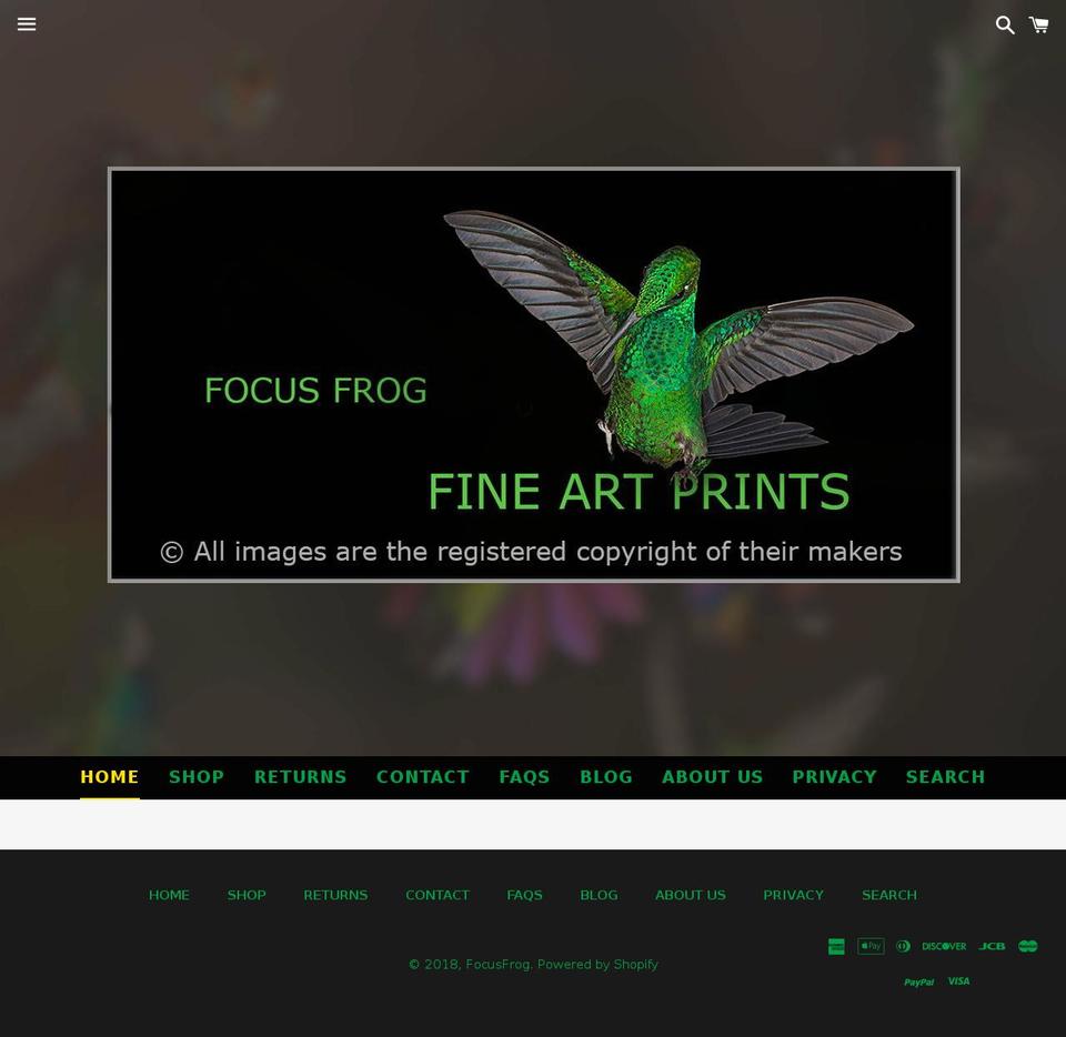 focusfrogstore.com — Shopify storefront screenshot