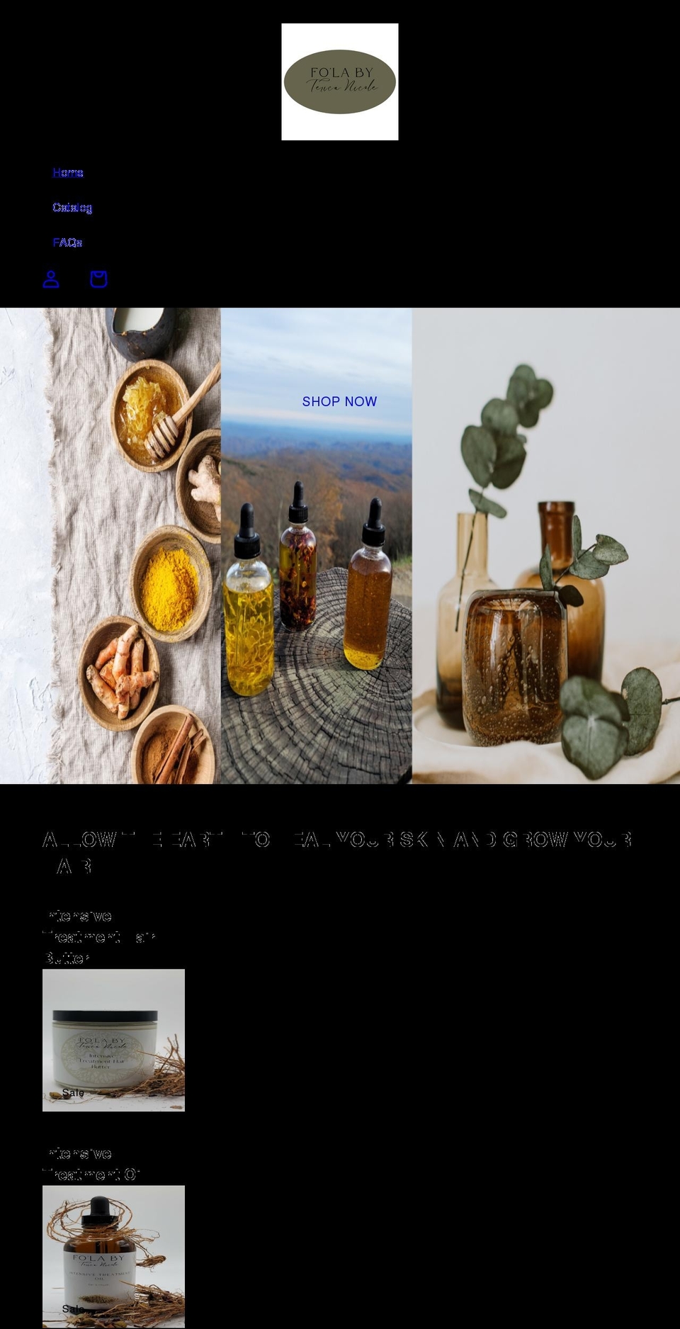 folabytericanicole.com shopify website screenshot