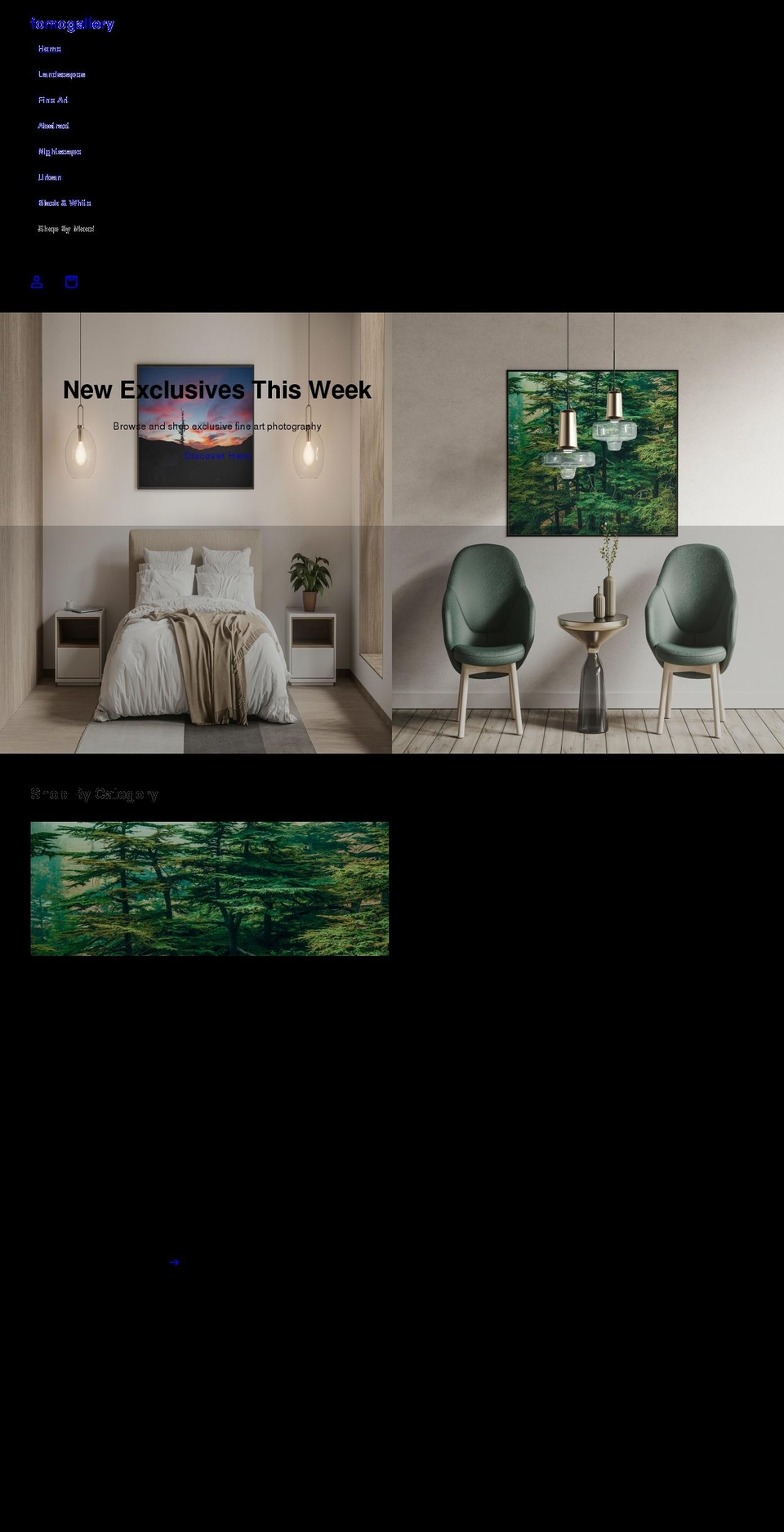fomogallery.com shopify website screenshot