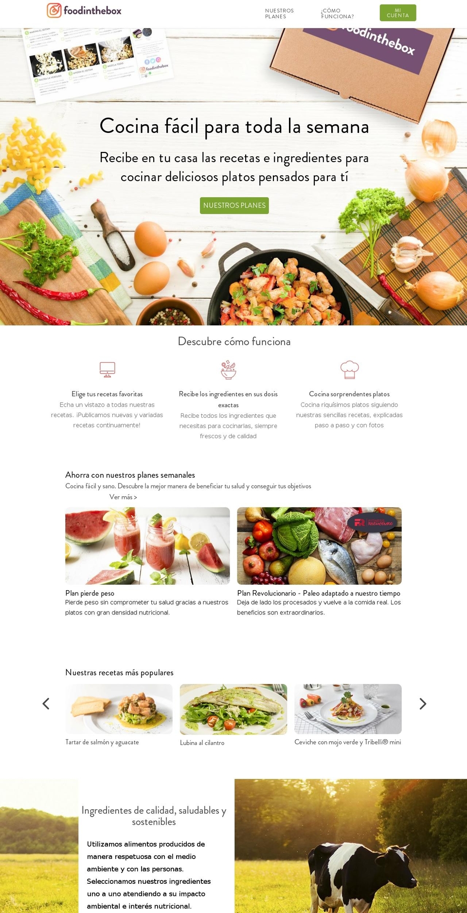 foodinthebox.es shopify website screenshot