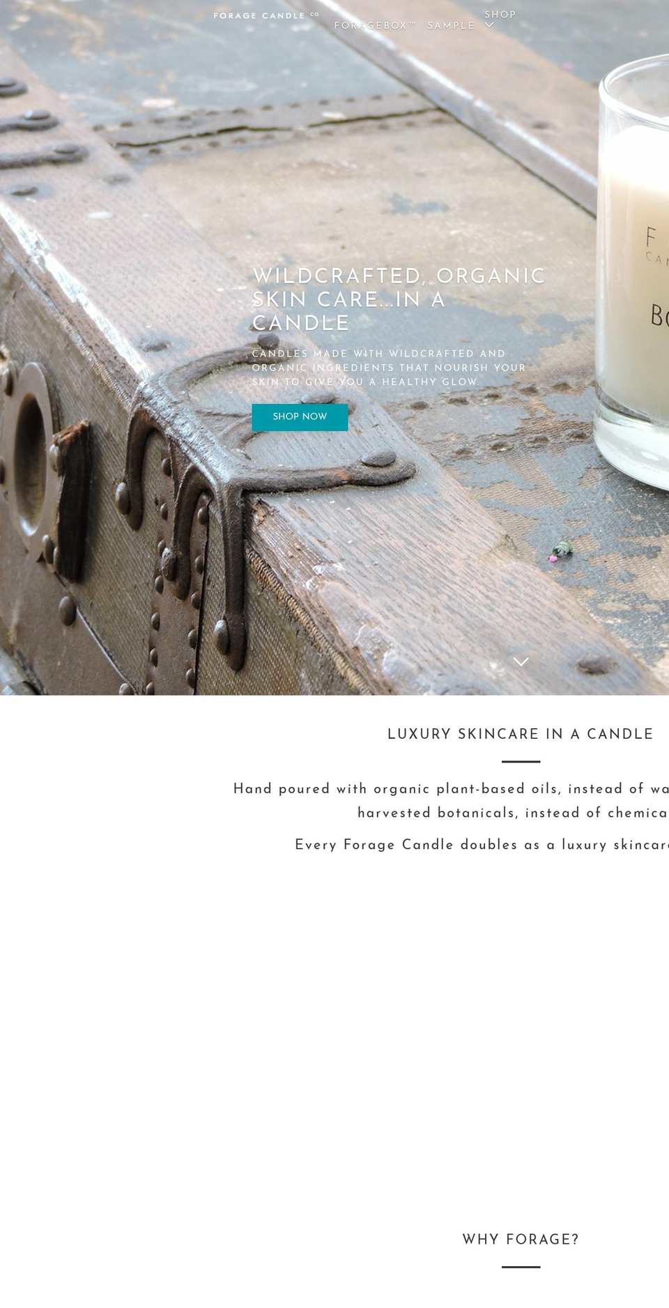 forage-usa.com — Shopify storefront screenshot