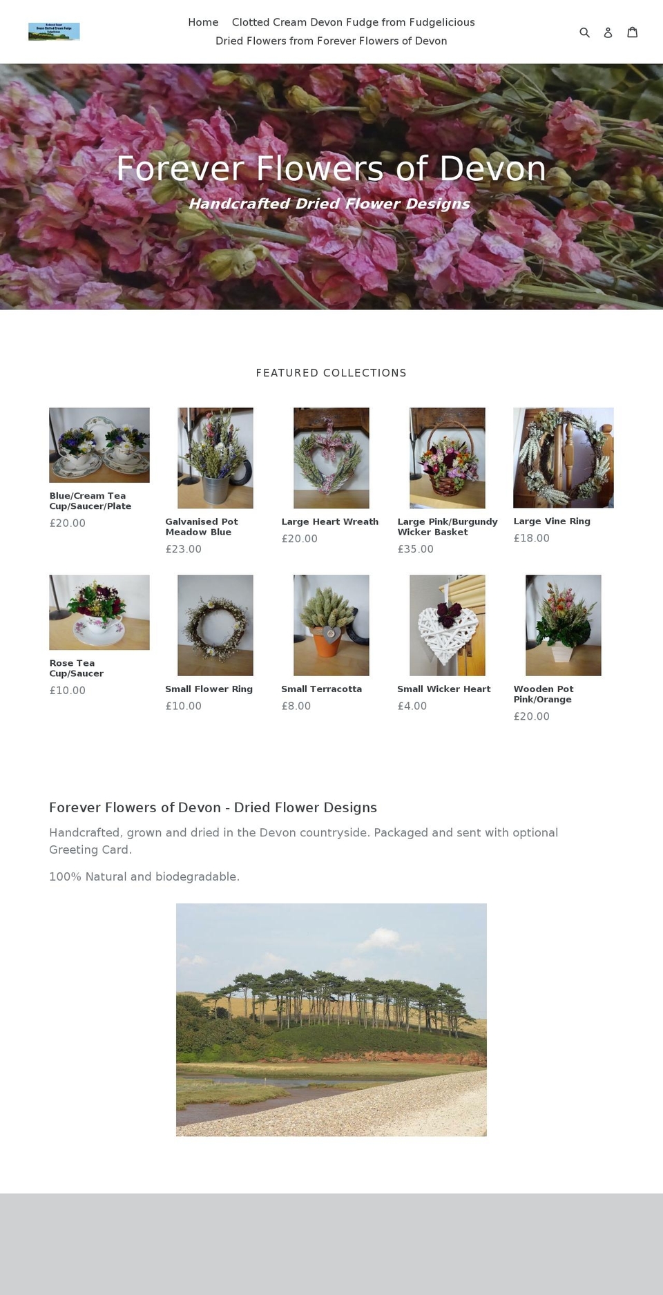 foreverflowersofdevon.com — Shopify storefront screenshot
