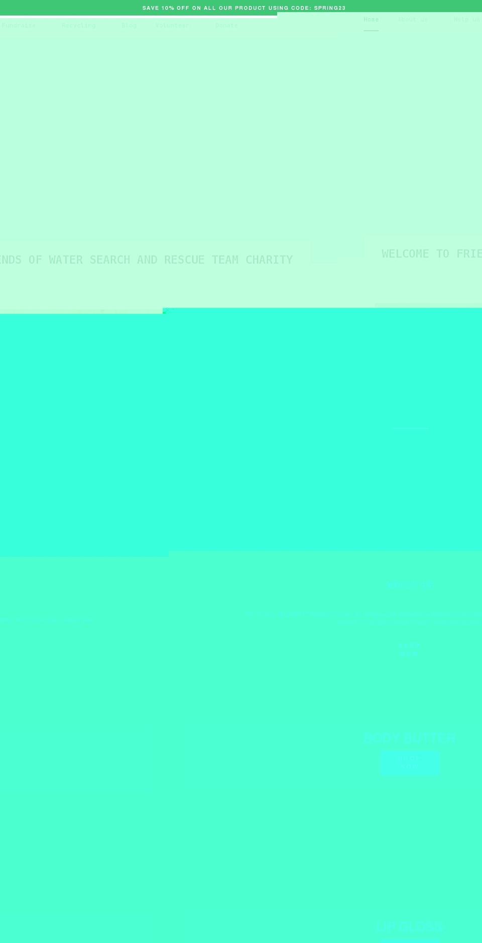 fowsart.org.uk shopify website screenshot
