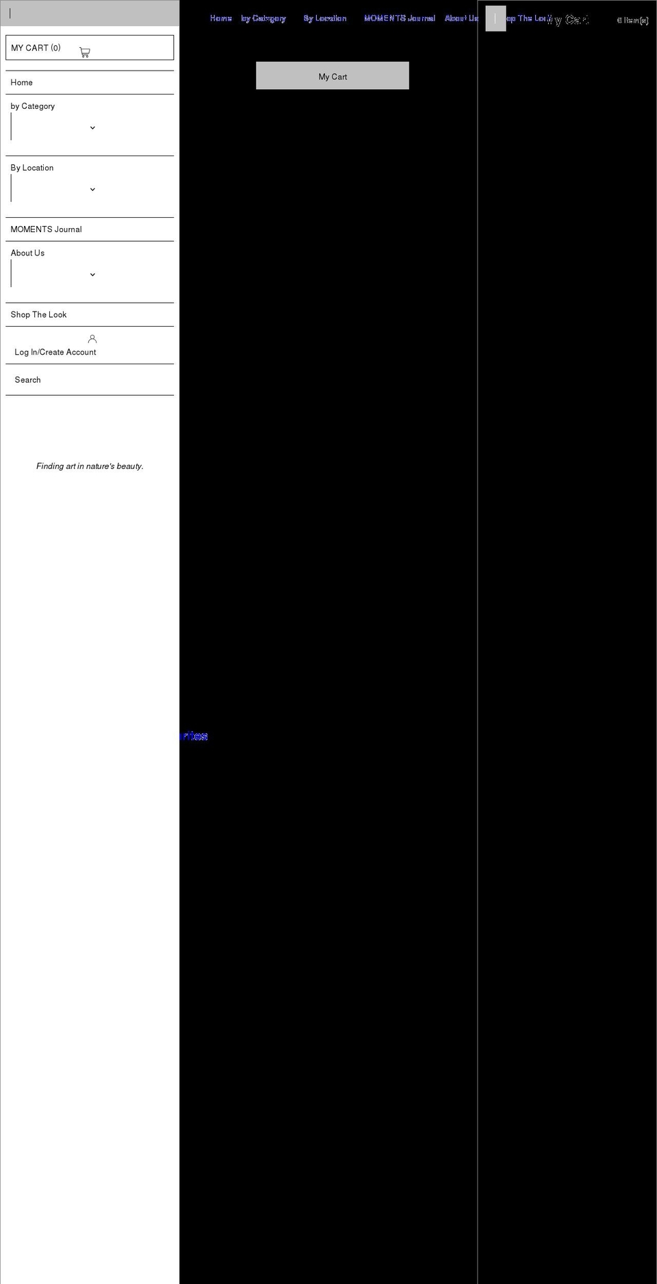 framechasers.com shopify website screenshot