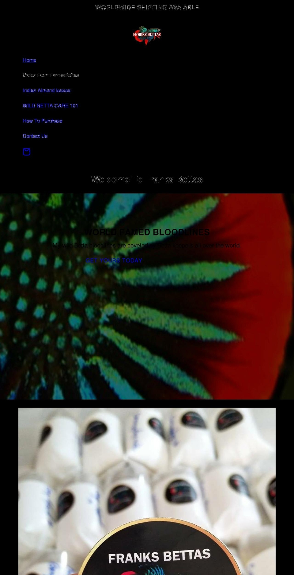 franksbettas.com shopify website screenshot