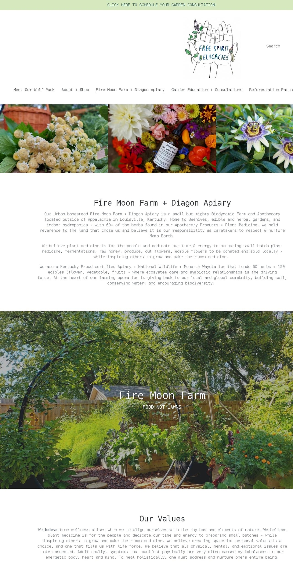 freespiritdelicacies.com shopify website screenshot
