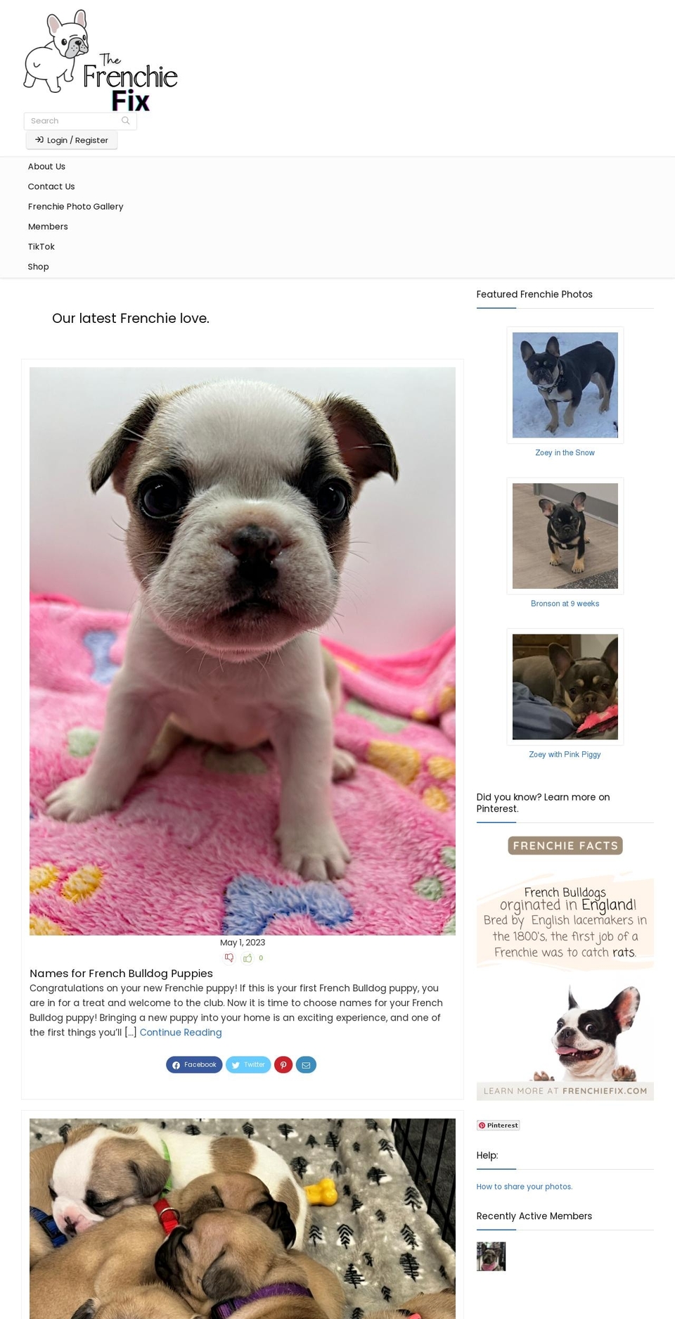 frenchiefix.com — Shopify storefront screenshot