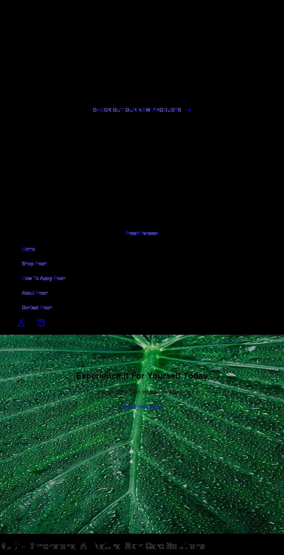 freshforever.org shopify website screenshot