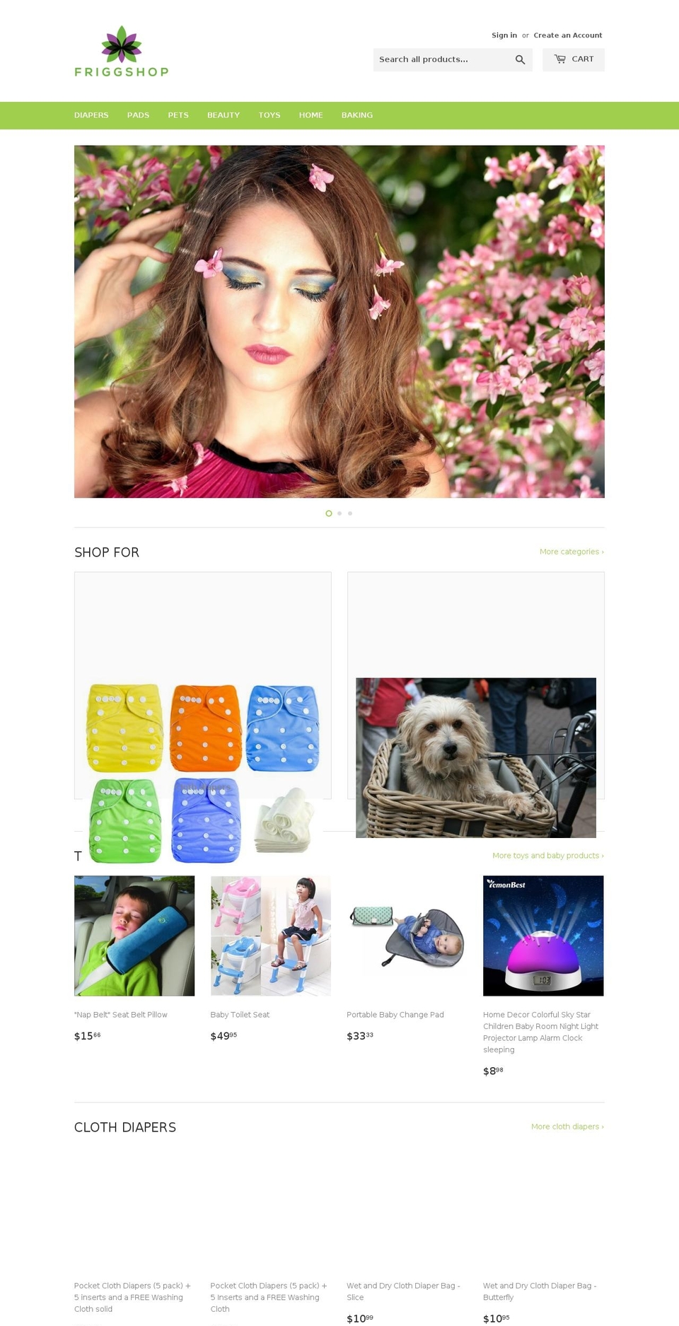 friggshop.com — Shopify storefront screenshot