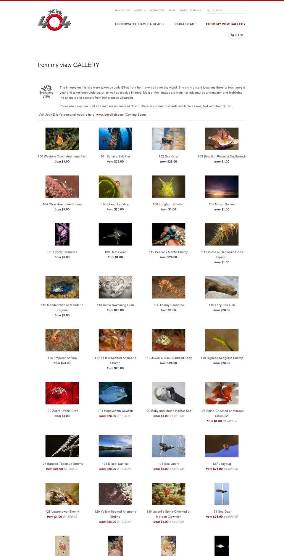 frommyviewgallery.com shopify website screenshot