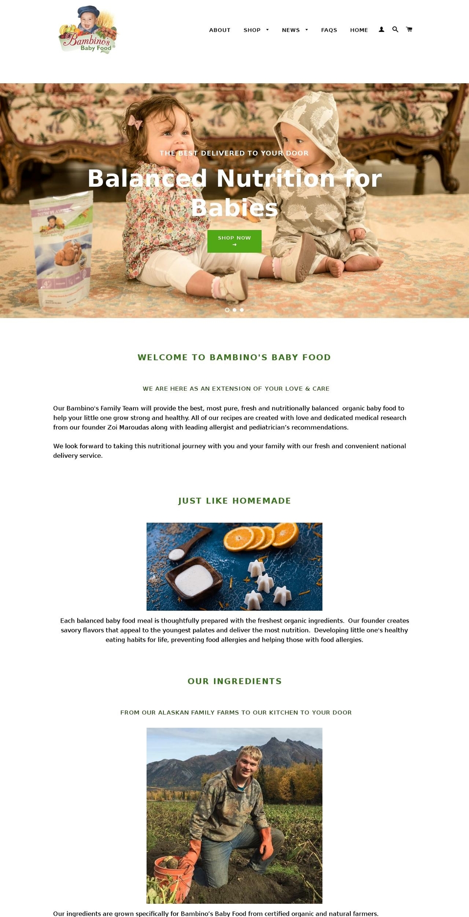 Copy of Brooklyn - Bold dev 5\/24\/16 Shopify theme site example frozenbabyfood.com