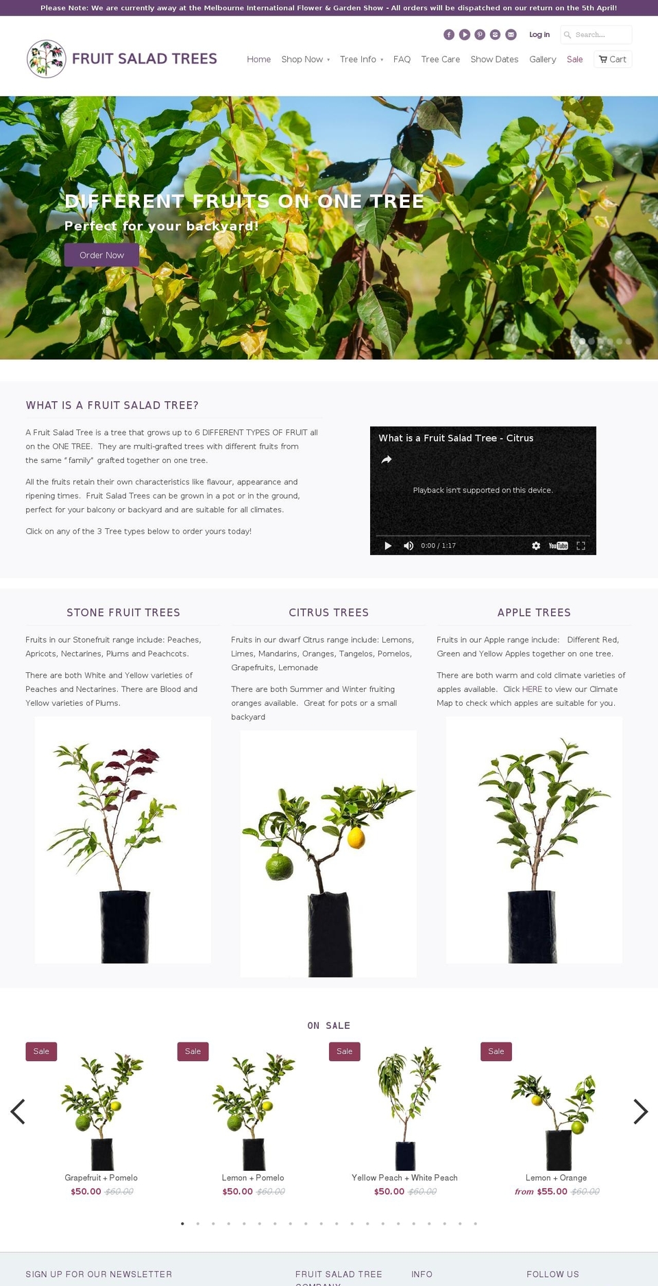 fruitsaladtrees.com shopify website screenshot