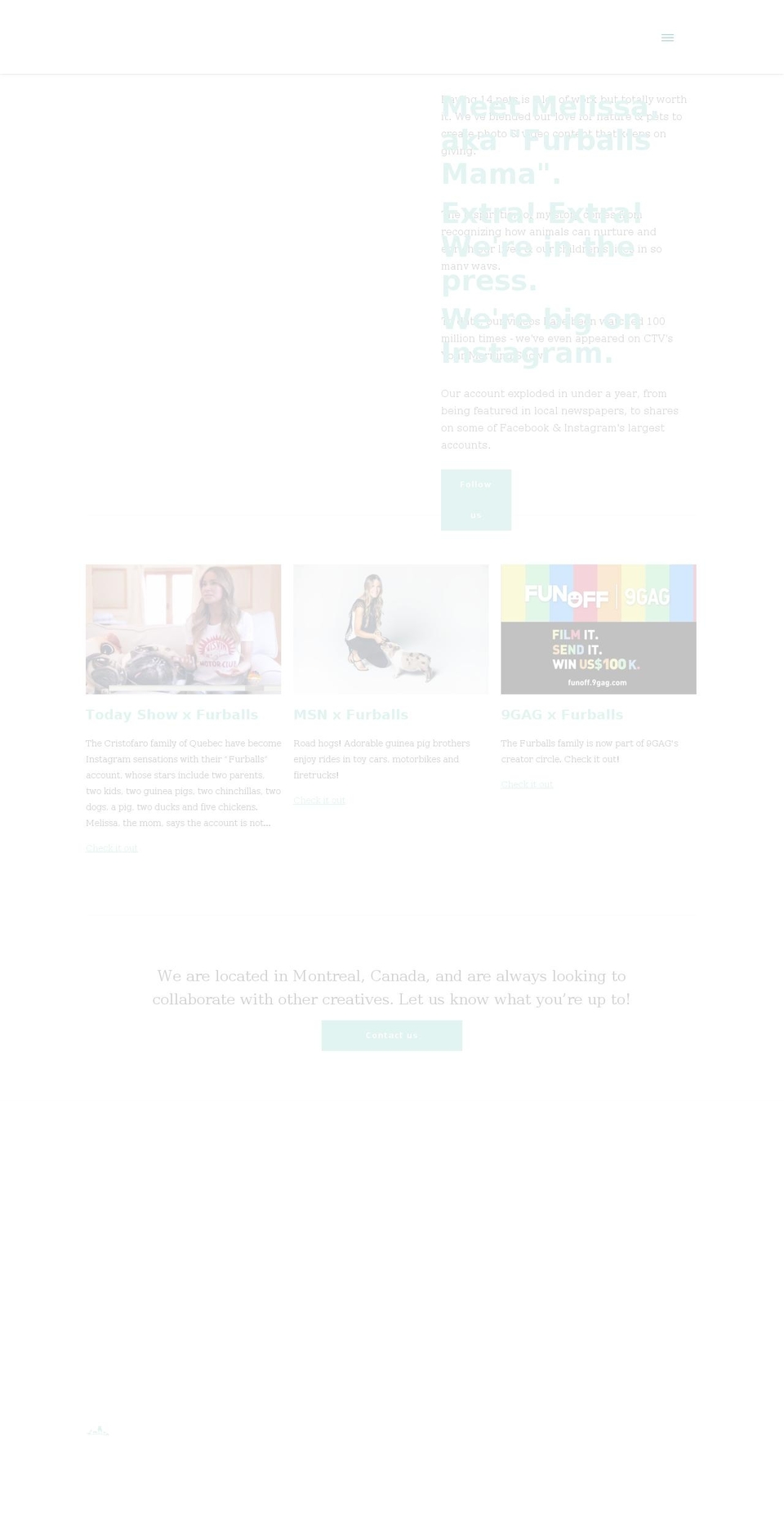 furballsinc.net shopify website screenshot