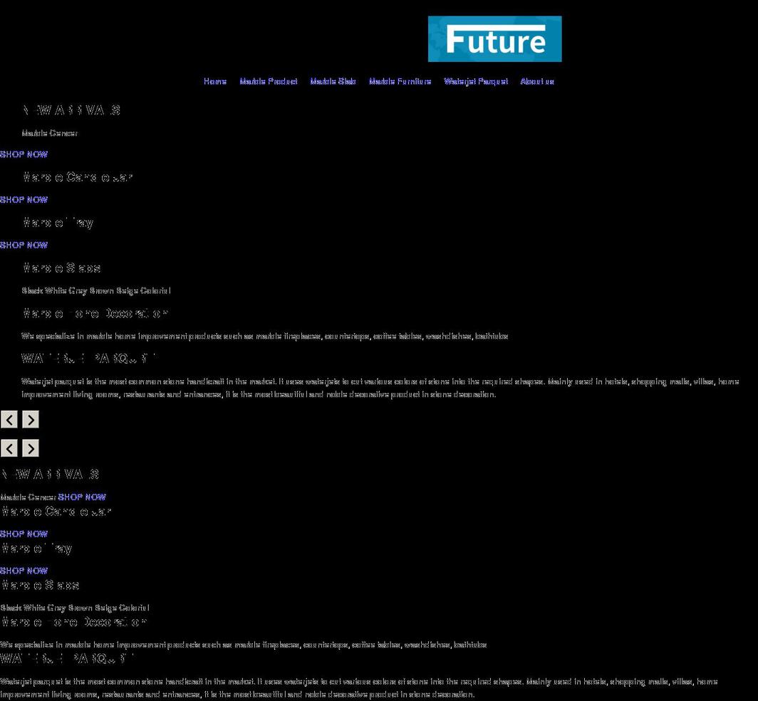 futurestone.cn shopify website screenshot