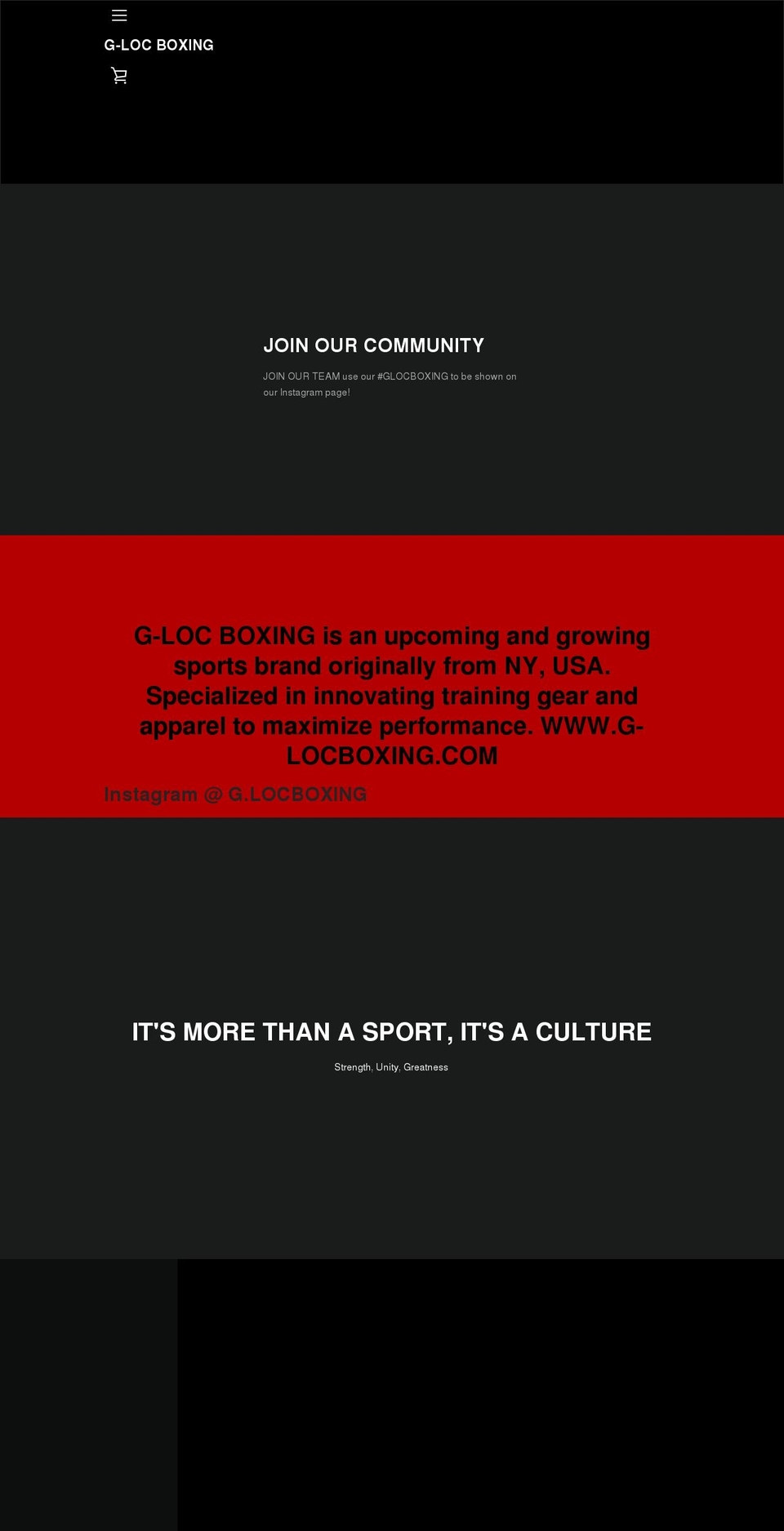 g-locboxing.com shopify website screenshot