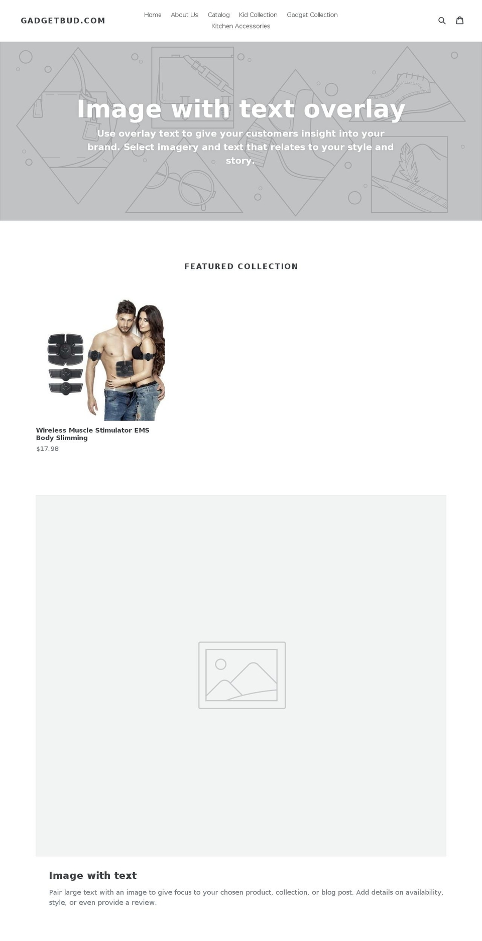 gadgetbud.com — Shopify storefront screenshot