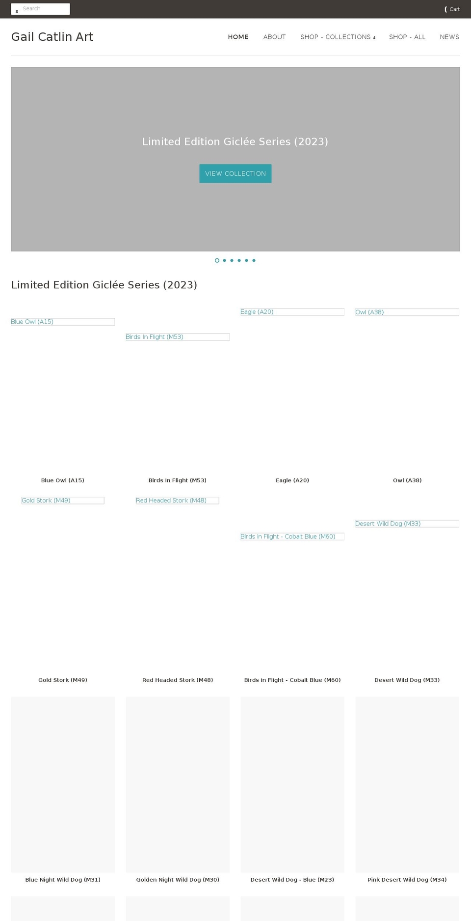gailcatlinshop.com shopify website screenshot